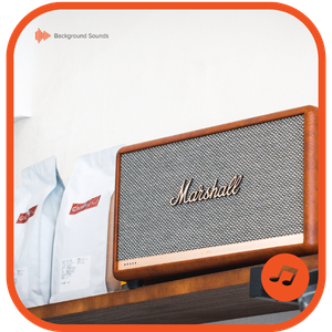 Commercial speaker system in an independent café for background music at the correct volume level